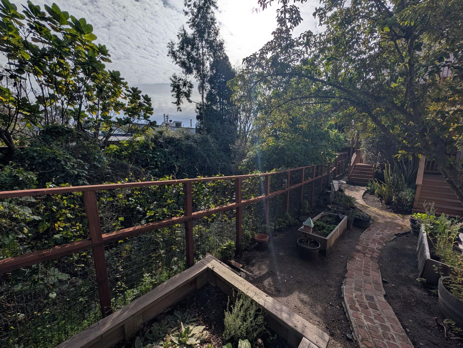 Walking path by the front door